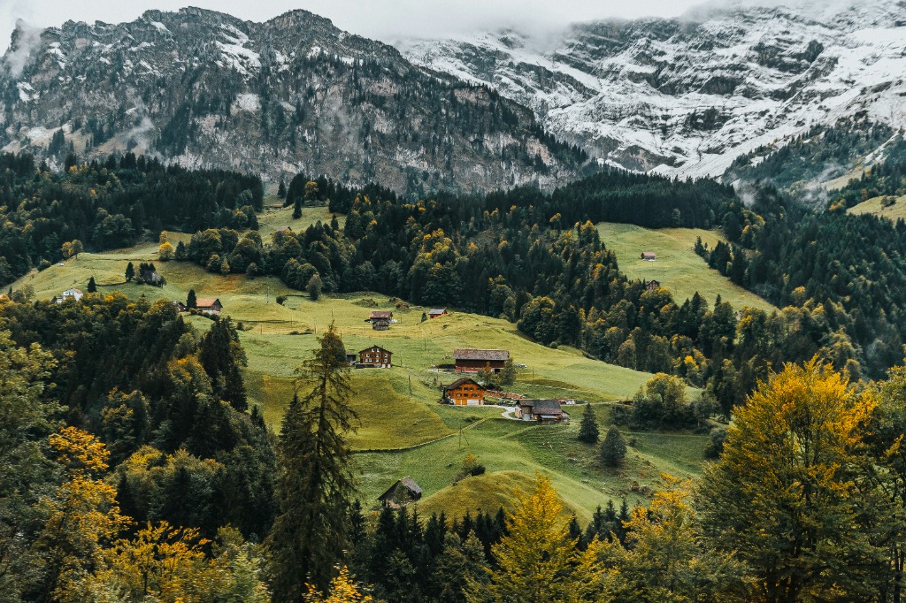 Lush green Swiss alpine valley with traditional wooden chalets